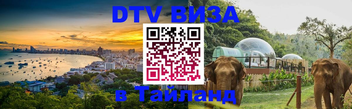 Оформление DTV визы под ключ: стоимость и тарифы, только загранпаспорт - Тегеран  04.10.2025 